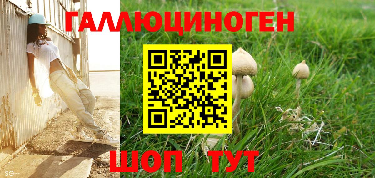 Галлюциногенные грибы Magic Shrooms  Вход с VPN  Родники  Галлюциногенные грибы ЛСД 